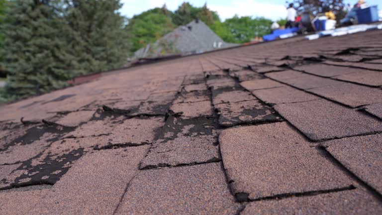 Best Roofing for New Construction  in Hanover, PA